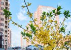 До +25 градусов прогнозируют синоптики днем 25 мая в Иркутске
До +25 градусов прогнозируют синоптики днем 25 мая в Иркутске