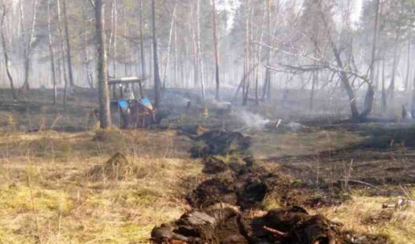 Восемь лесных пожаров потушили за&nbsp;сутки в&nbsp;Иркутской области                            