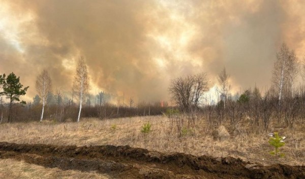 Полторы тысячи гектаров лесных пожаров потушили в Иркутской области                            