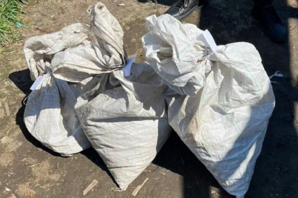 
                В Нижнеудинске у местного жителя изъяли 3,5 килограмма марихуаны
                
            