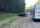 
                В Шелеховском районе погиб водитель перевернувшегося автомобиля Toyota Carina
                
            