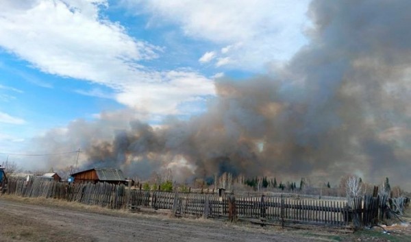 Ущерб от лесных пожаров в Вихоревке составил 19 млн рублей                            