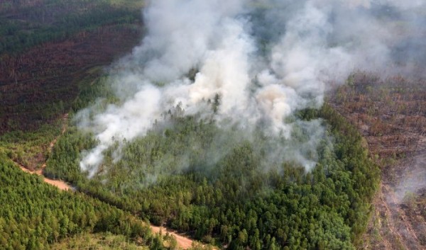 Два лесных пожара ликвидировали на&nbsp;севере Иркутской области                            