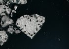 
                Специалисты Байкальского музея СО РАН проводят экспедицию по учету нерпы
                
            