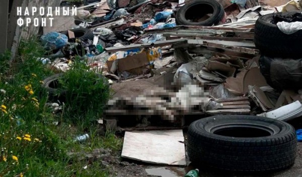 В&nbsp;Иркутске на&nbsp;берег Ушаковки выбросили мертвых собак                            