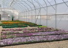 
                Три новые теплицы установили в иркутском Горзеленхозе
                
            
