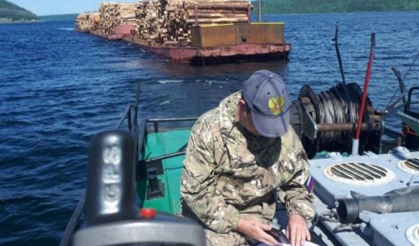 В&nbsp;Приангарье пройдет акция по&nbsp;проверке древесины &laquo;Посейдон&raquo;                            