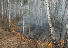 
                В Иркутской области потушили лесные пожары площадью 121 гектар
                
            