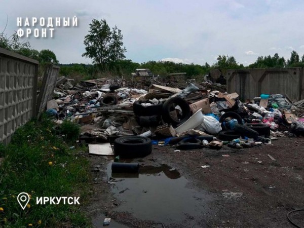 В&nbsp;Иркутске на&nbsp;берег Ушаковки выбросили мертвых собак                            