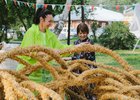 
                Скульпторы создадут арт-объекты из соломы в Иркутске на бульваре Гагарина
                
            