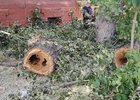 
                На улицах Иркутска вырубают сухие деревья
                
            