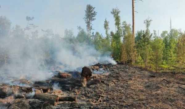5 809 га леса горит в Иркутской области                            