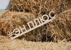 
                Скульпторы создадут арт-объекты из соломы в Иркутске на бульваре Гагарина
                
            