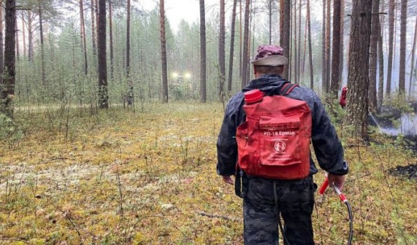 Четыре лесных пожара потушили за сутки в Приангарье                            