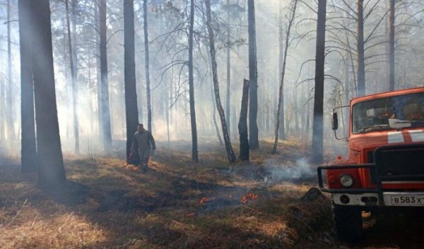 В Иркутской области за минувшие сутки новых пожаров не зарегистрировано В Иркутской области за минувшие сутки новых пожаров не зарегистрировано