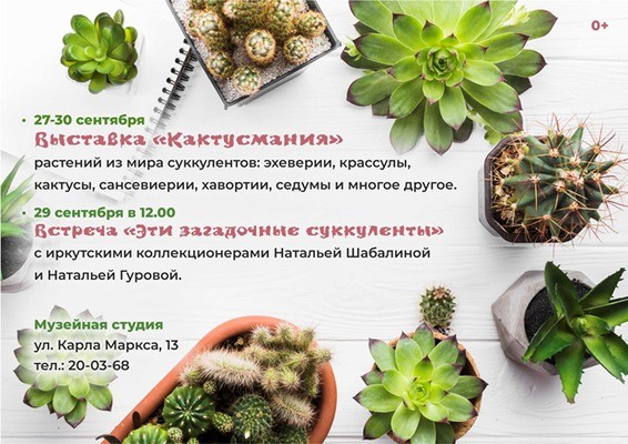 
            Кактусмания
            
        