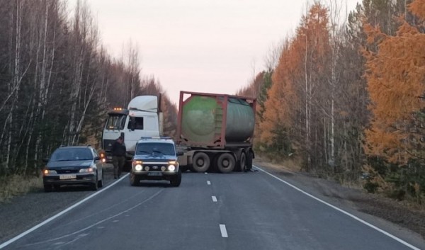 Водитель сбил медведя в&nbsp;Усть-Илимске и&nbsp;спровоцировал еще одно ДТП                            