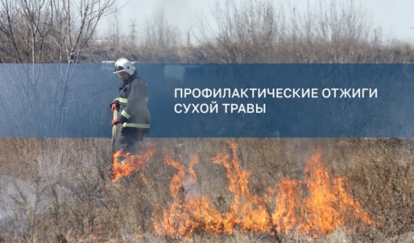 Отжиги сухой травы проводят в Иркутске                            