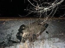 В&nbsp;Иркутске и&nbsp;Иркутском районе пять человек погибли в&nbsp;ДТП на&nbsp;прошлой неделе                            
