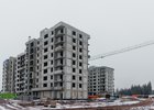 
                В Усть-Куте завершены монолитные работы первых домов нового микрорайона
                
            