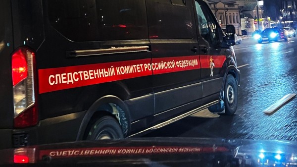 СУ СК: в Иркутске начали проверку после избиения педиатра матерью ребенка