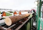 
                С 1 января Иркутская область перейдет на электронную работу с лесопользователями
                
            