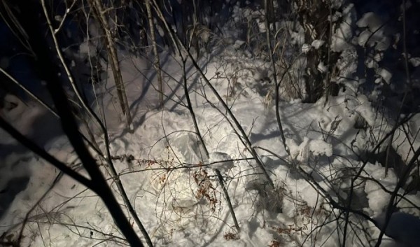 Суши-повара задержали в Иркутской области с почти двумя килограммами наркотиков Суши-повара задержали в Иркутской области с почти двумя килограммами наркотиков