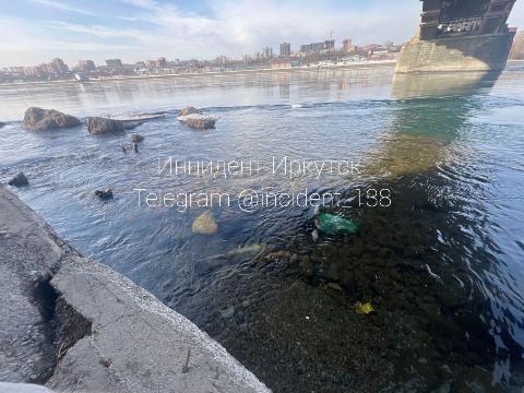 В Иркутске под Глазковским мостом нашли часть коровьей туши В Иркутске под Глазковским мостом нашли часть коровьей туши