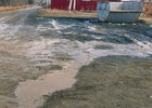 Жители села Мамоны пожаловались на плохое состояние дорог после таяния снега
Жители села Мамоны пожаловались на плохое состояние дорог после таяния снега