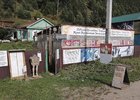 
                В Листвянке могут снести дом, в котором в 1890 году останавливался писатель Антон Чехов
                
            