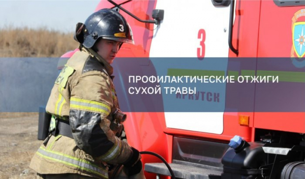 Отжиги сухой травы пройдут в Ленинском и Октябрьском округах Иркутска Отжиги сухой травы пройдут в Ленинском и Октябрьском округах Иркутска