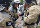 
                Косуля забежала на территорию детсада в Ангарске
                
            