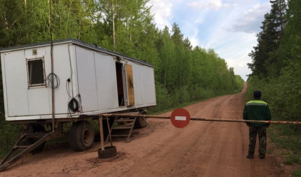 В Приангарье снова ввели ограничение на посещение лесов В Приангарье снова ввели ограничение на посещение лесов