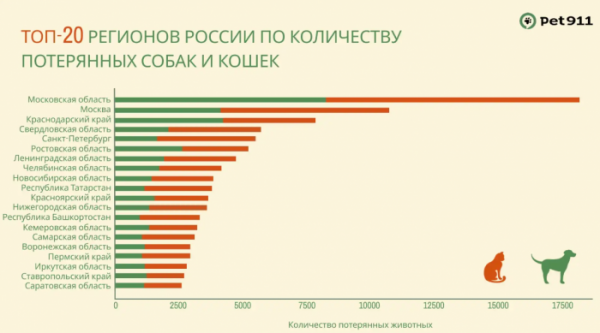 Приангарье вошло в&nbsp;ТОП-20&nbsp;регионов по&nbsp;количеству пропавших животных                            