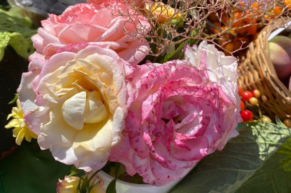 Выставка роз и лилейников пройдет в Иркутске 15 и 16 июля
Выставка роз и лилейников пройдет в Иркутске 15 и 16 июля