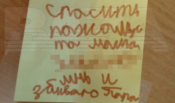 Полиция проверяет сообщение об&nbsp;избиении девочки в&nbsp;Братске                            