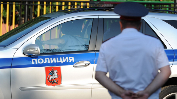В Ангарске неизвестный сбросил кота с пятого этажа многоквартирного дома В Ангарске неизвестный сбросил кота с пятого этажа многоквартирного дома