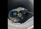 В Усть-Куте спасли бездомную собаку, несколько дней просидевшую в коллекторном колодце
В Усть-Куте спасли бездомную собаку, несколько дней просидевшую в коллекторном колодце