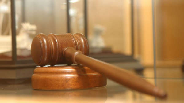 В Ангарске убившего собаку мужчину приговорили к 240 часам обязательных работ В Ангарске убившего собаку мужчину приговорили к 240 часам обязательных работ