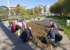 Клумбы в Иркутске начали готовить к зиме
Клумбы в Иркутске начали готовить к зиме