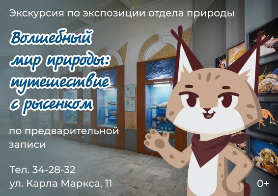 
            Волшебный мир природы: путешествие с рысёнком
            
        