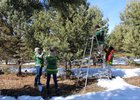 
                План по заготовке семян деревьев досрочно выполнили в Иркутской области
                
            