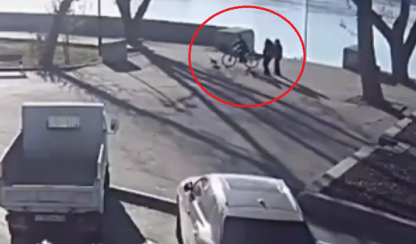 В&nbsp;Иркутске пожилой велосипедист переехал щенка корги (Видео)                            