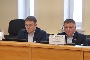 
                В Иркутской области создадут рабочую группу для поддержки НКО и волонтеров
                
            