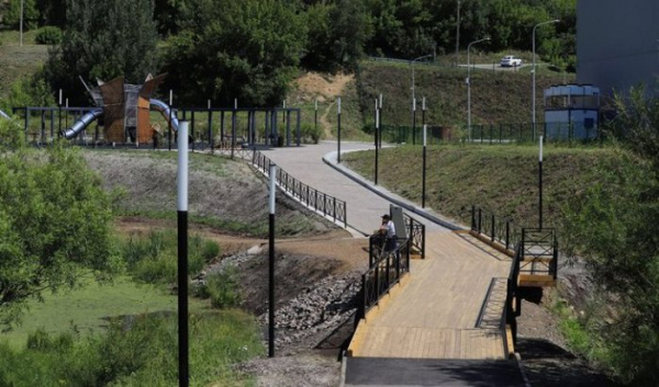 За семь месяцев в Иркутске выписано 1050 штрафов за нарушения благоустройства                            
