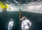 
                В марте 2026 года на Байкале пройдет третий фестиваль подледного фридайвинга
                
            