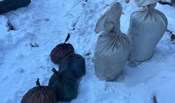 В Боханском районе у местного жителя изъяли 10 кг марихуаны В Боханском районе у местного жителя изъяли 10 кг марихуаны