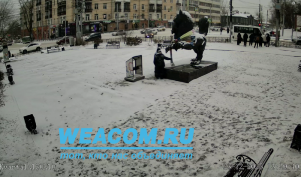 Камера WEACOM зафиксировала момент кражи шарфа с&nbsp;иркутского бабра                            