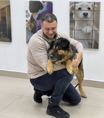 &laquo;Истории, которые вдохновляют&raquo;: ТВ-3&nbsp;взял под опеку 650&nbsp;животных из&nbsp;приюта в&nbsp;Приангарье                            