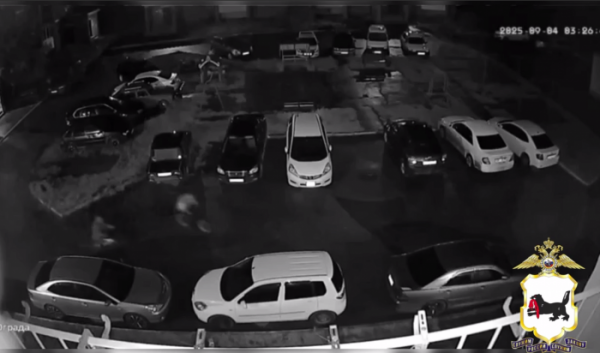 В&nbsp;Приангарье полиция разыскивает велосипедных воров (Видео)                            